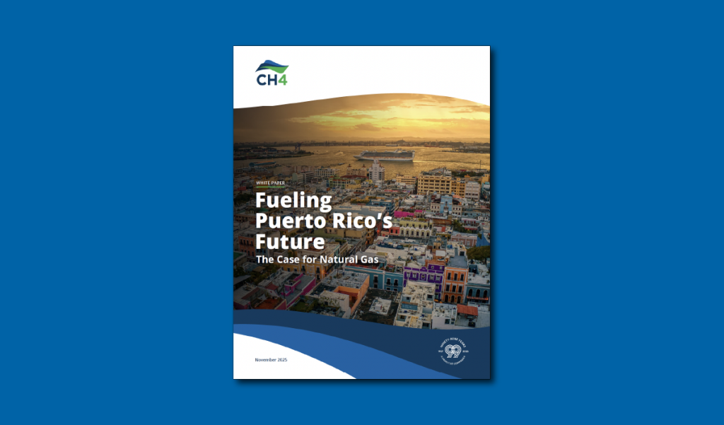 The Case for Natural Gas_Feature